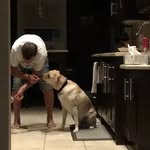 Chris Strome - @c.stromer16 - Instagram