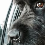 Chris Strome - @chrisstrome - Instagram