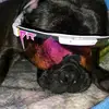 Christine Reno-Strome - @christine.renostr - TikTok