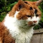 Chris Strutt - @strutt.chris - Instagram