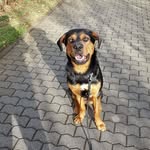 Christian Struttmann - @christianstrutti - Instagram