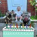 Chris Suggs Sugden - @suggy2021 - Instagram