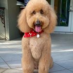 Chris sutton - @cc_sutton01 - Instagram