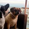 Chris Sutton - @chris.sutton59 - TikTok