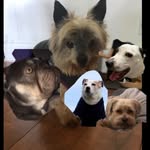 Chris.swaysland - @chris_swaysland.05 - Instagram
