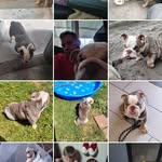 Chris Swope - @christopherswope378170 - Instagram