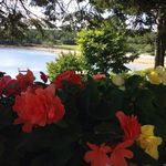 Christine Cox Szewczyk - @coxszewczyk - Instagram