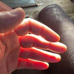 Chris Tague - @blessed_starzer - Instagram