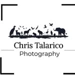 Chris Talarico - @talarico_photography - Instagram