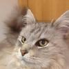Chris Tatton - @chris.tatton - TikTok