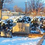 Christine Taute - @abqhistoricfairview - Instagram