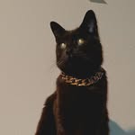 Chris Thames - @chris.thames.1272 - Instagram