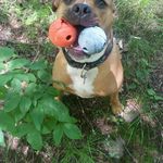 Chris Thaxton - @ate60 - Instagram