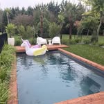 Chris Thelin - @novaspacenz - Instagram