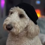Chris Thornhill - @thecyanaura - Instagram