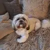 christinethurlow - @christinethurlow - TikTok