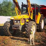 Chris Tiemann - @christiemann9 - Instagram