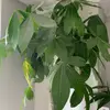 chrlsajys8q - @chris.w.tiemann - TikTok