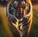 Chris Tiger - Facebook