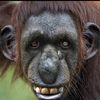 Chris Till - @chris.till0 - TikTok