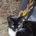 Chris Tibbetts - Facebook