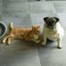 Chris Toller - Facebook