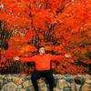 Chris Tollerfield - @christollerfield - TikTok