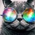 Chris Tomko - Facebook