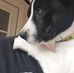 Chris Tomko - Facebook