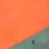 chrisstoon - @chrisstoon - TikTok
