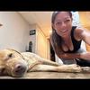 Christina Tormey - @christina3982 - TikTok