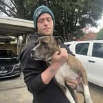 Chris Trafford - @chris_trafford - Instagram