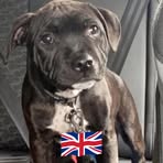Chris Trafford - Facebook