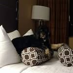 Chris Tremblay - @ctremelectric - Instagram