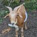 Chris Truby - Facebook