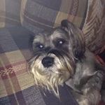 Chris Ullom - @chrisanne4956 - Instagram