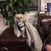Christopher Vallee - Facebook