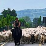Cristian Vanzo - @christian.vanzo.7 - Instagram