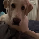Chris Veach - @crzyvx - Instagram