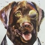Chris Viers - @csviers - Instagram