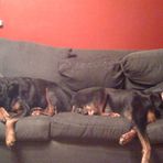 Chris Vieth - Facebook