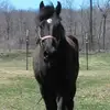 Christine Vinal - @christine.vinal - TikTok
