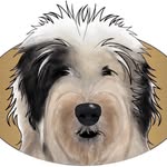 Chris Wager - @frankieandfriendsdoggrooming - Instagram