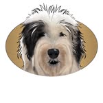 Chris Wager - @pawsandaffection - Instagram