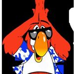Chris Wainscott - @wainscottgm - Instagram