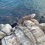 Chris Waldo - @chriswaldo31 - Instagram