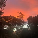 Christos Walker - @chris.walker.piano - Instagram