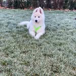 Christine Wallner - @christine.wallner.35 - Instagram