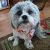 chriswallner803 - @chriswallner803 - TikTok