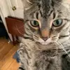 Chris Wanner437 - @chriswanner1160 - TikTok